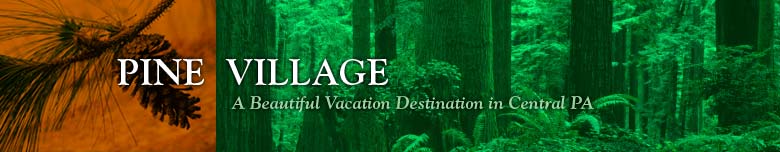 Pine Village