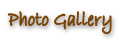 Photo Gallery
