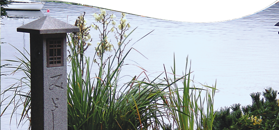 Banner 07