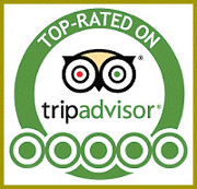 Trip advisor