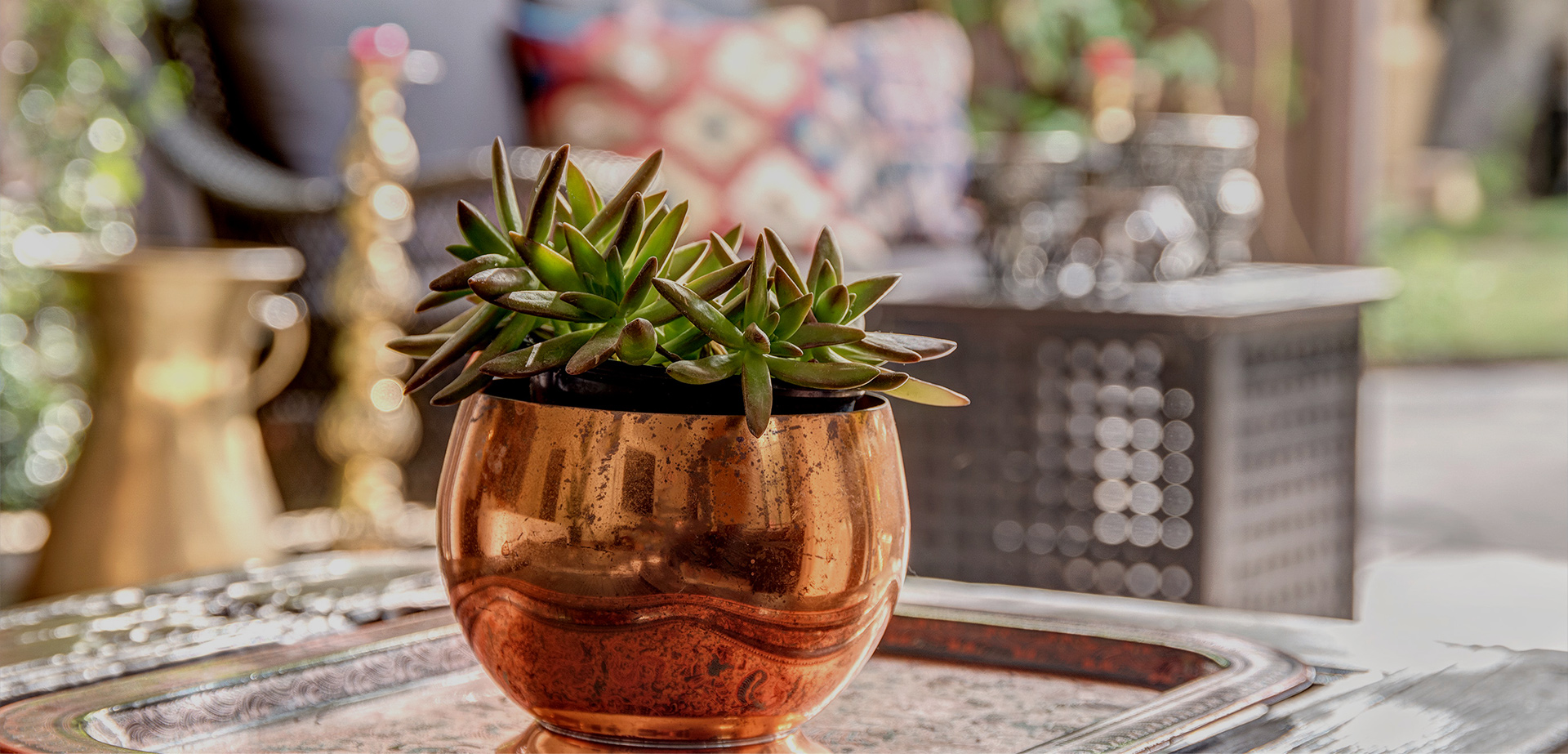 palm-springs-boutique-hotel-the-rossi-contact.jpg